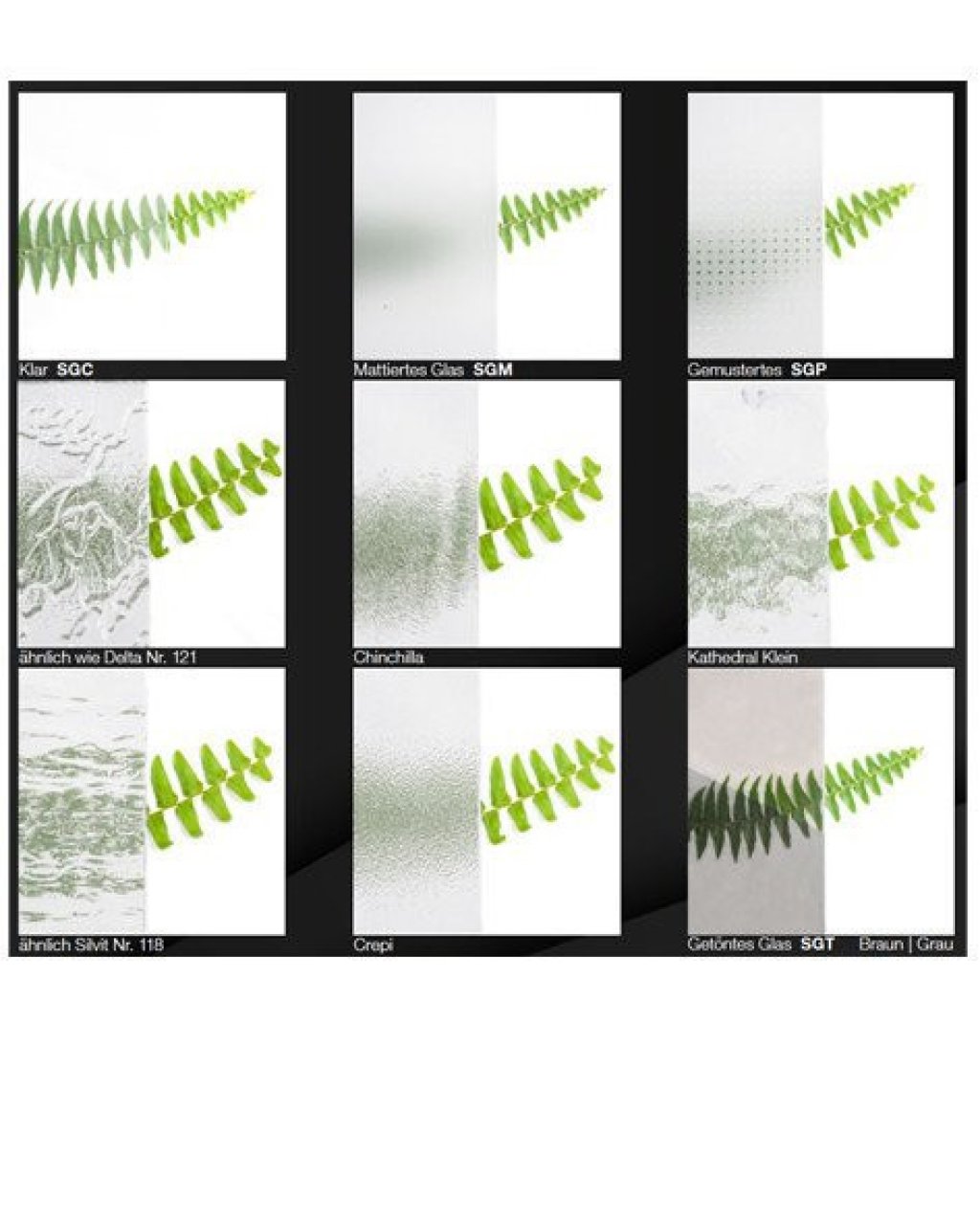 Verschillende soorten glas met effecten zoals helder, mat en gestructureerd, met een groene varen als decoratie.