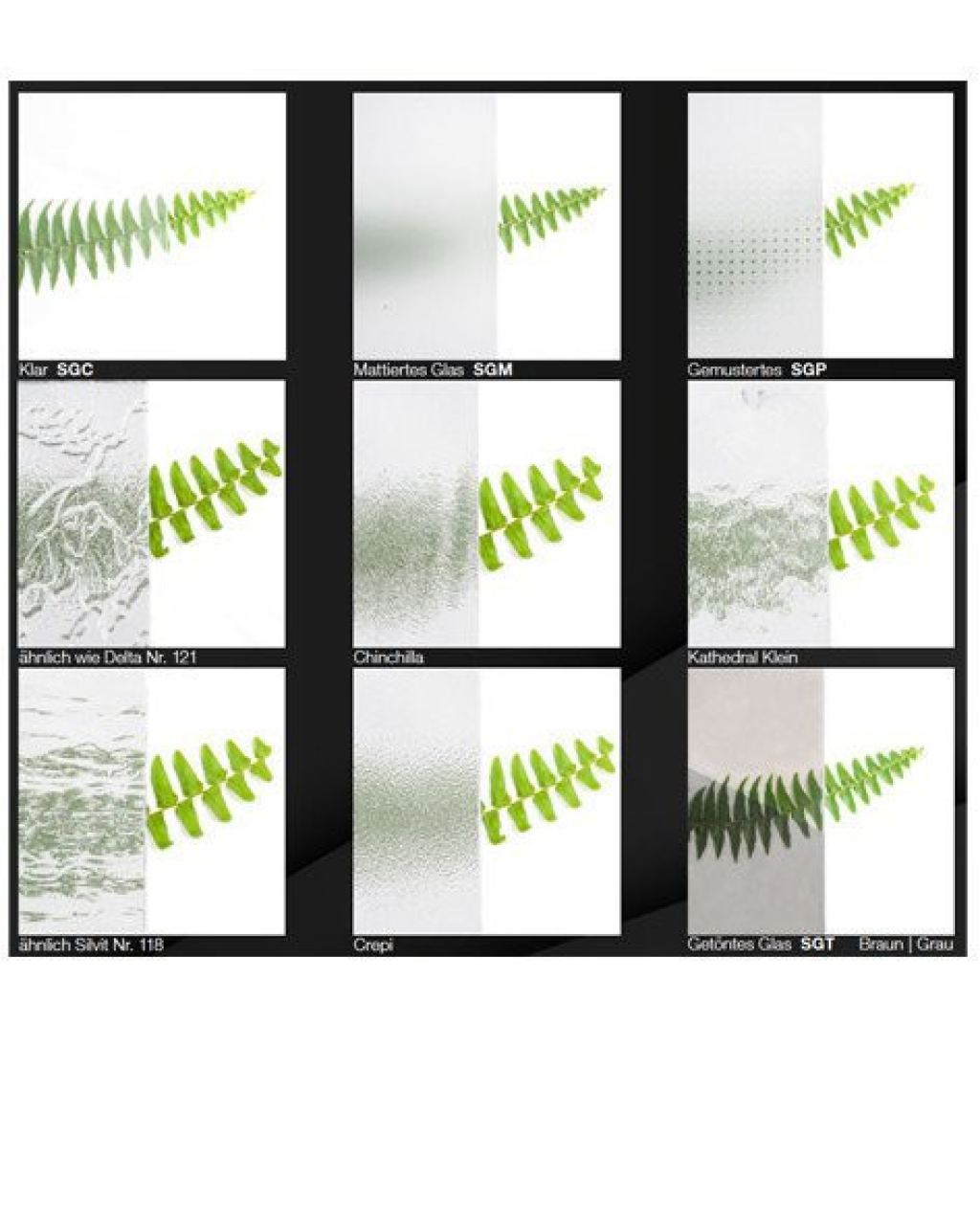Verschiedene Glasarten mit Effekten wie klar, matt und strukturiert, dazu ein gr&uuml;ner Farn zur Dekoration.